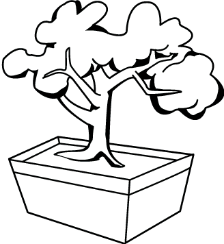 Plants 2