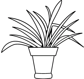 Plants 3