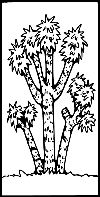 Plants 1