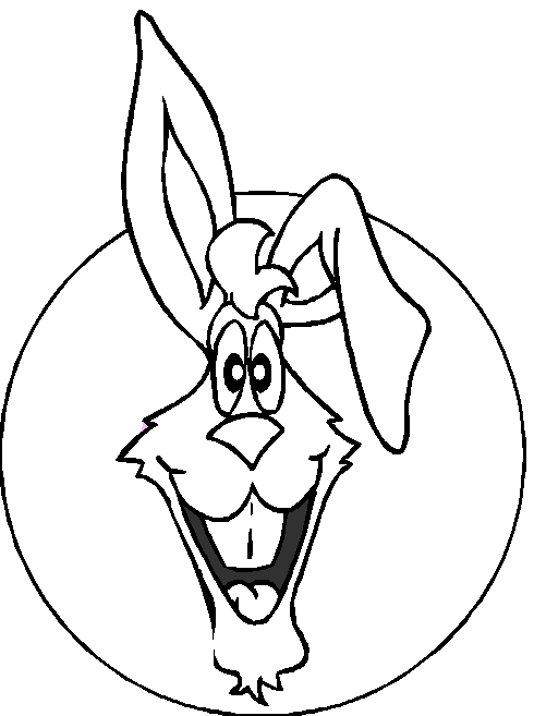 Conejos 2