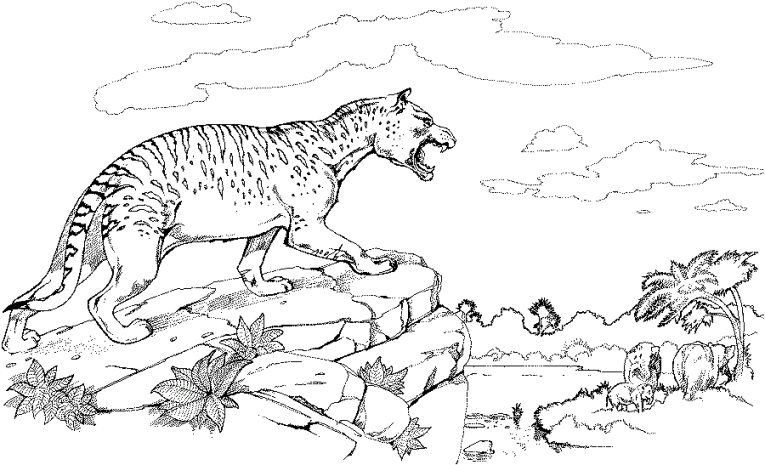 Otros Animales 43