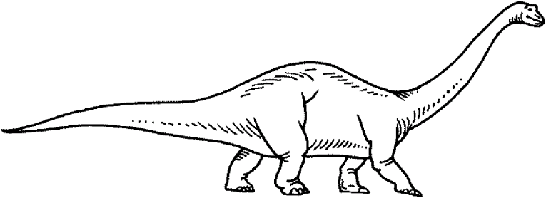 Dinosaurios 9