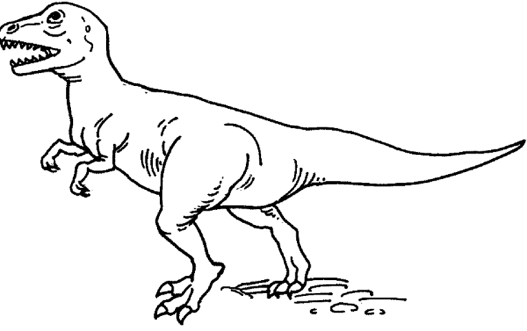 Dinosaurios 18