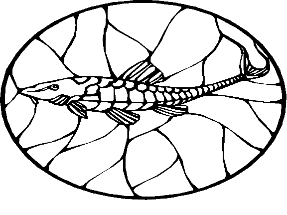 Pescados 92