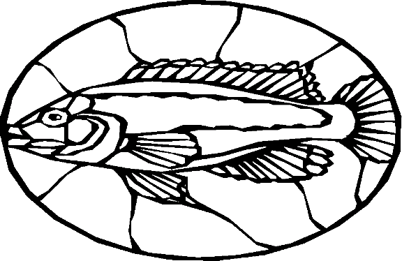 Pescados 93