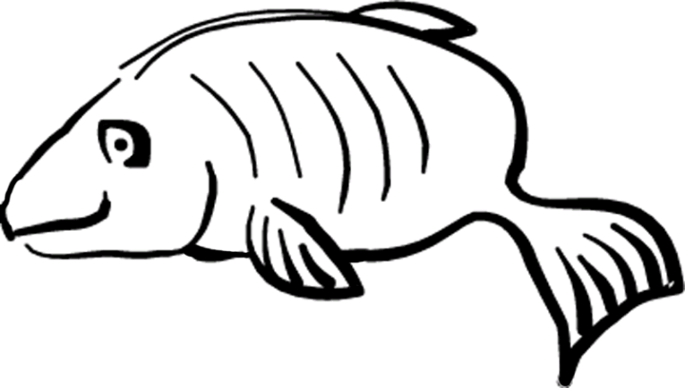Pescados 94