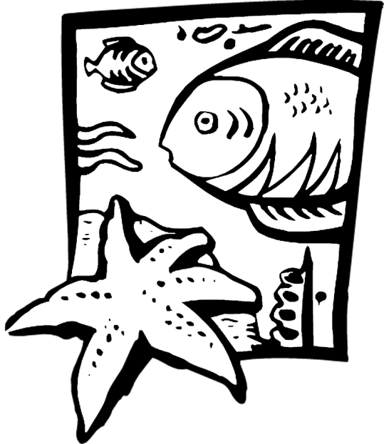 Pescados 105