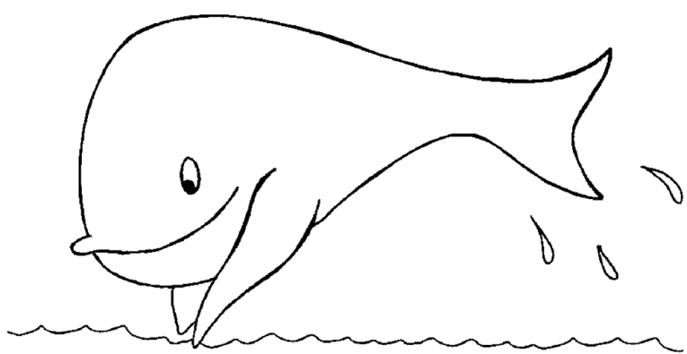 Ballenas 2
