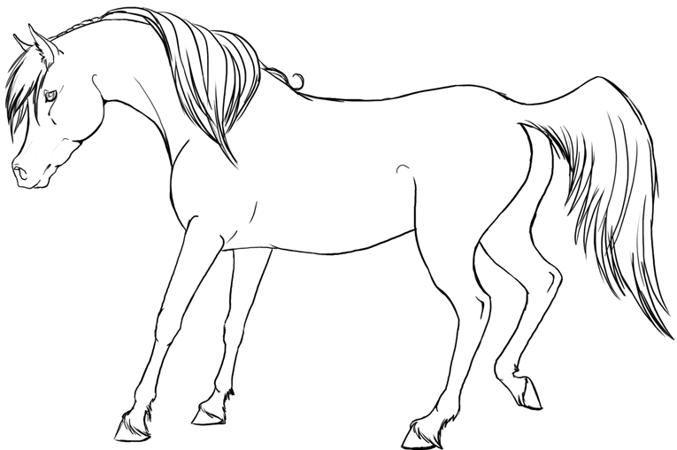 Caballos 27