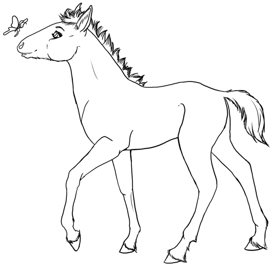 Caballos 28