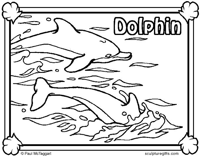 Delfines 13