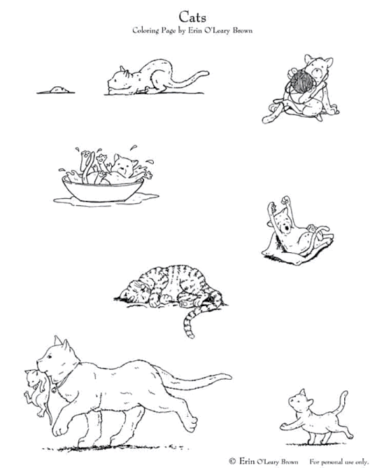 Gatos 61
