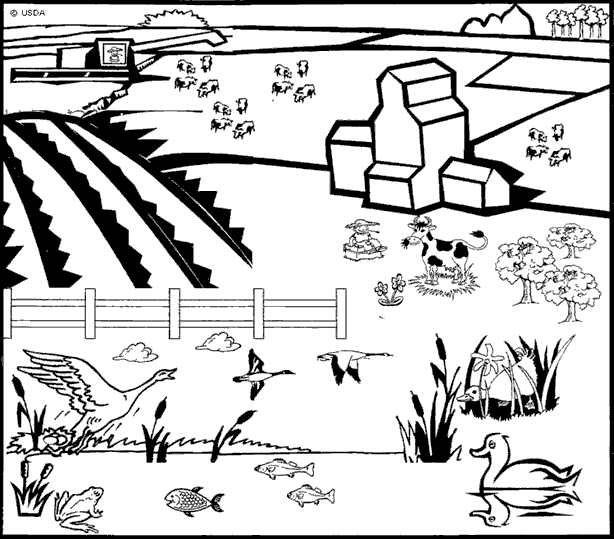 Granja 1