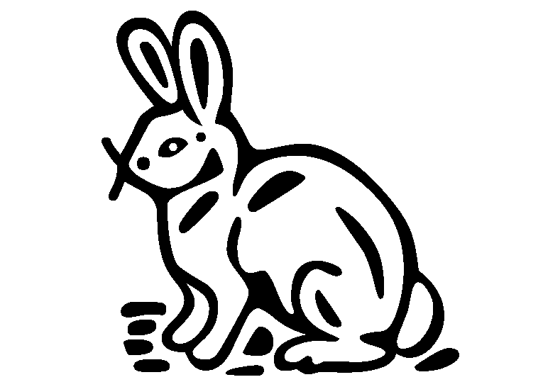 Conejos 9
