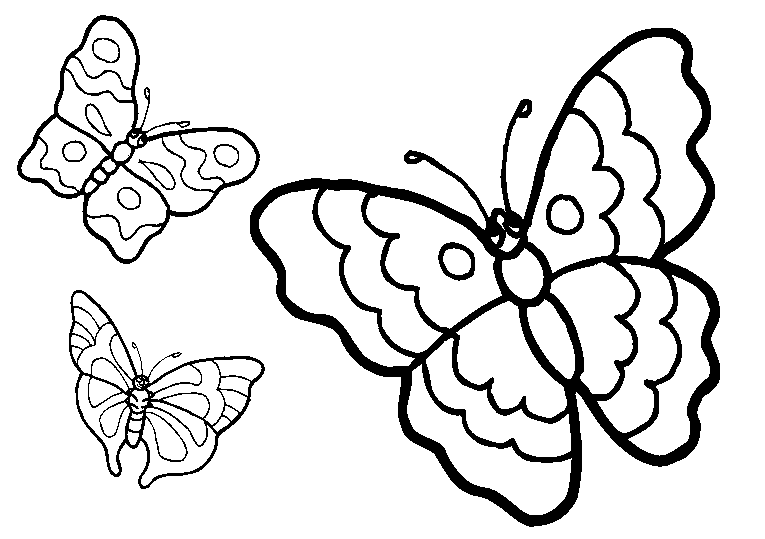 Mariposas 18