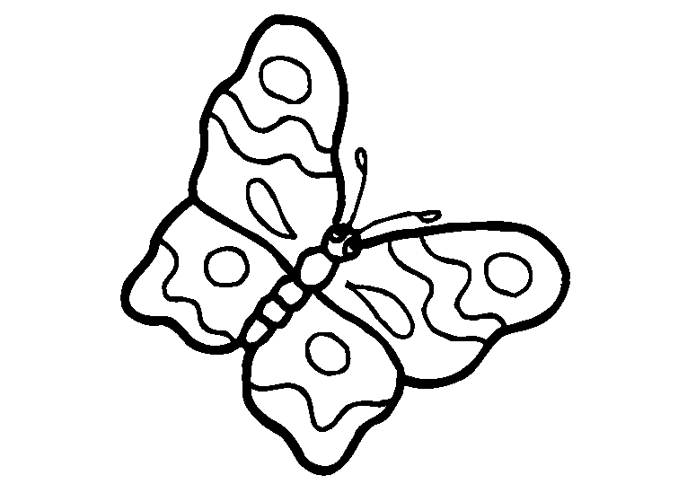 Mariposas 19