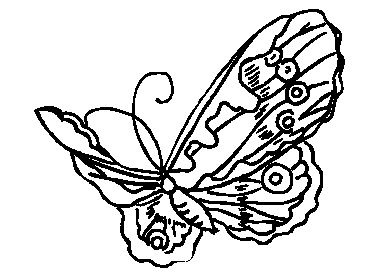 Mariposas 31