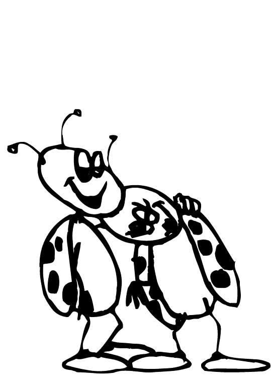 Insectos 27