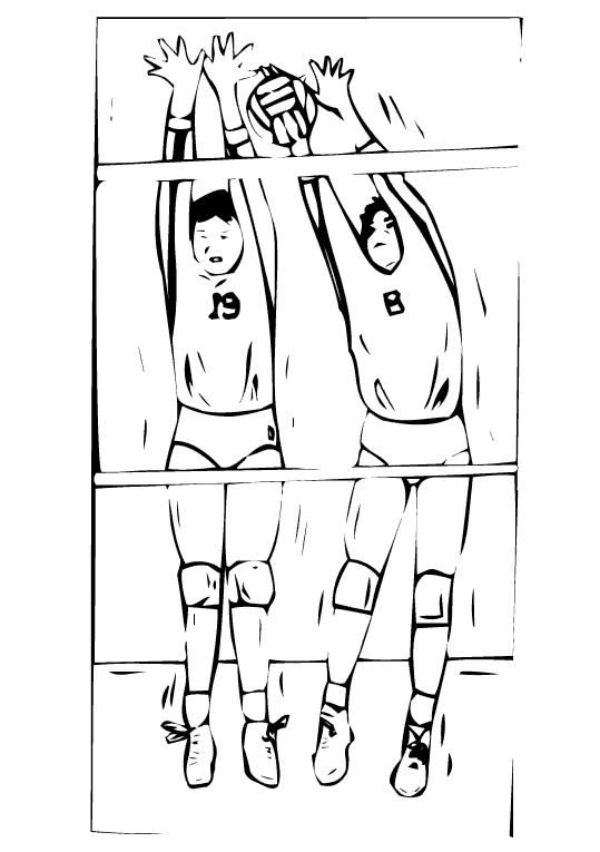 Voleibol 11