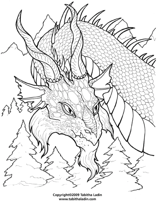 Dragones 74