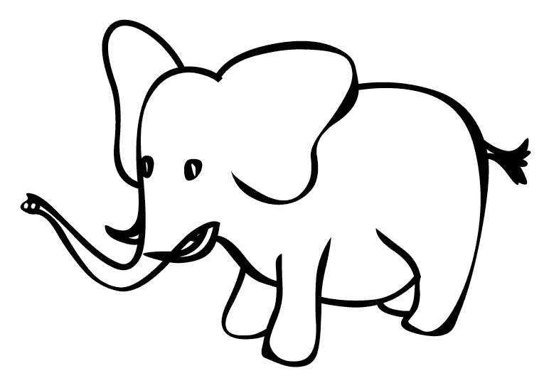 Elefantes 11