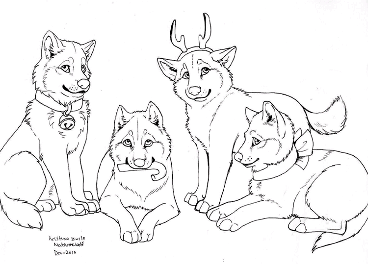 Lobos 19