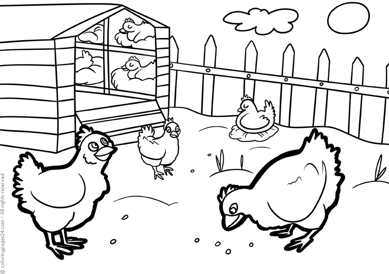 Granja 9