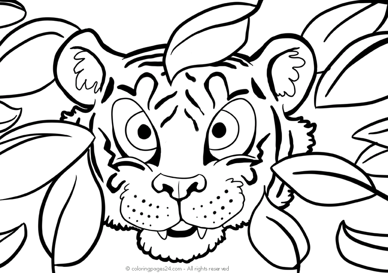 Tigres 4