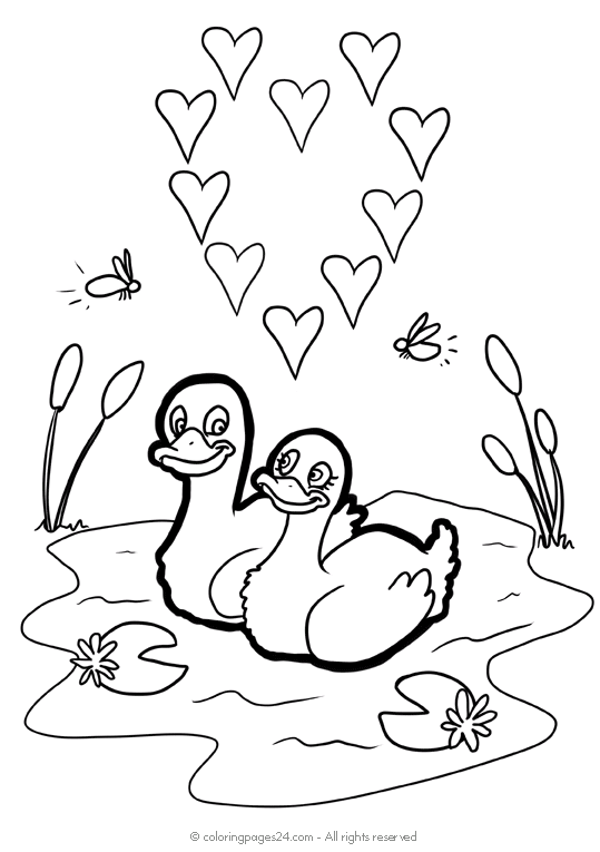 Patos 7 | Dibujos para Colorear 24 Patos 7 | Dibujos para Colorear 24