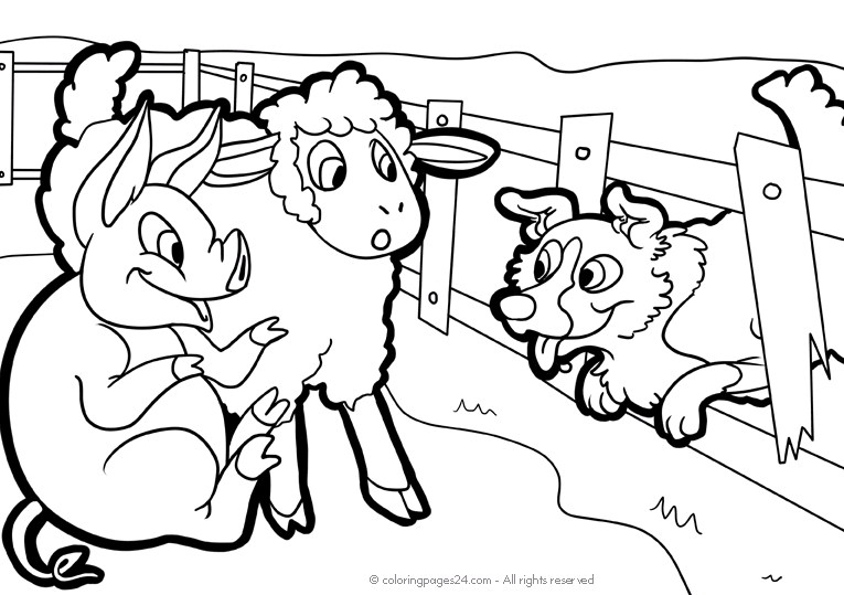 Granja 11