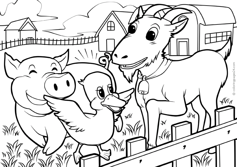 Granja 17