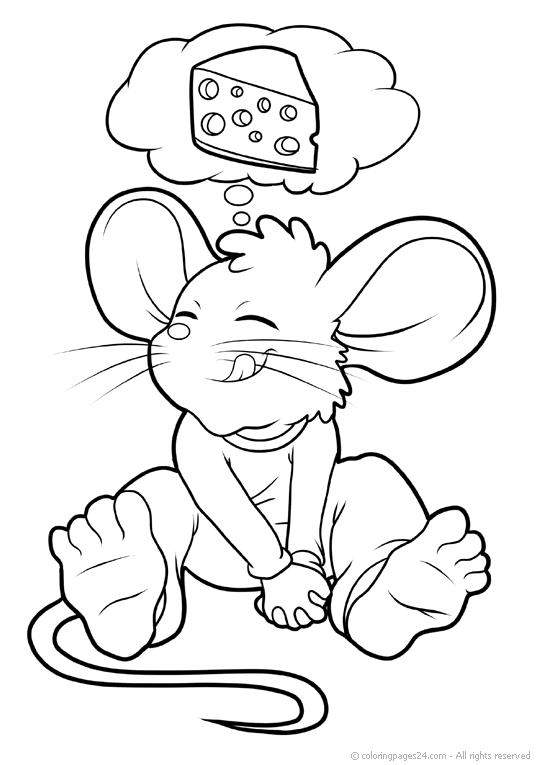 Ratones y Ratas 12