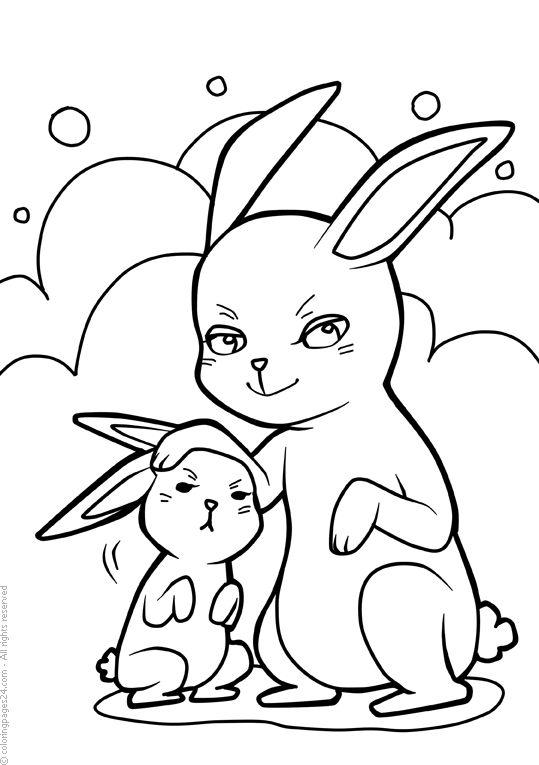Conejos 16