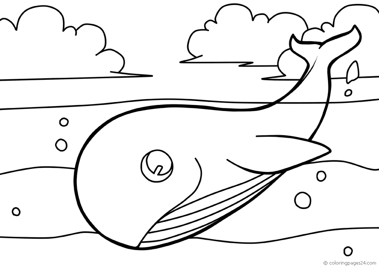 Ballenas 7