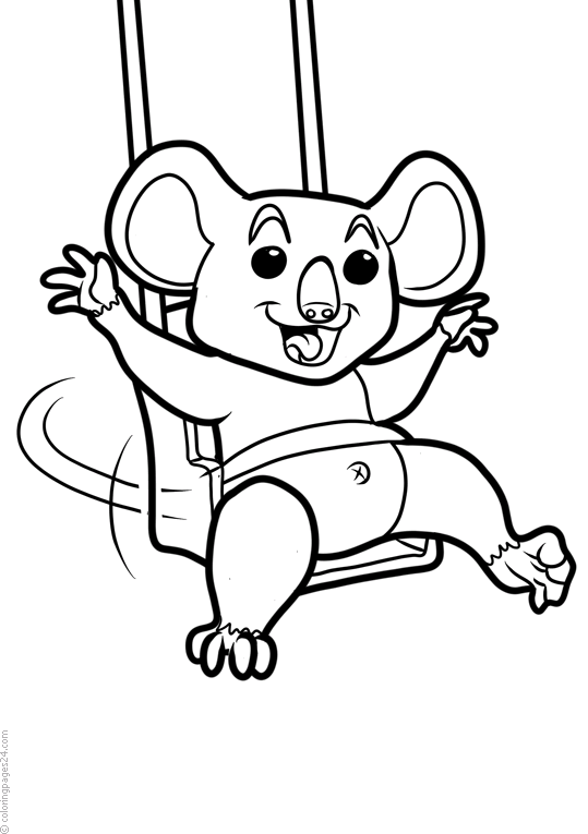 Osos Koala 5