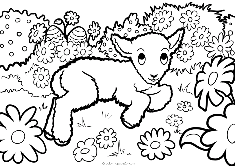 Pascua 12