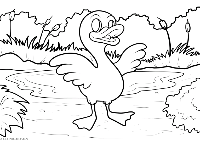 Patos 10
