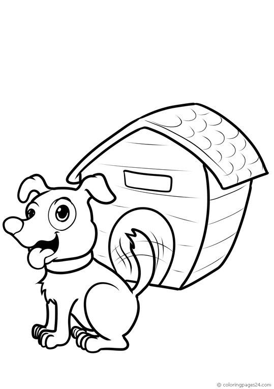 Casas de Perro 6
