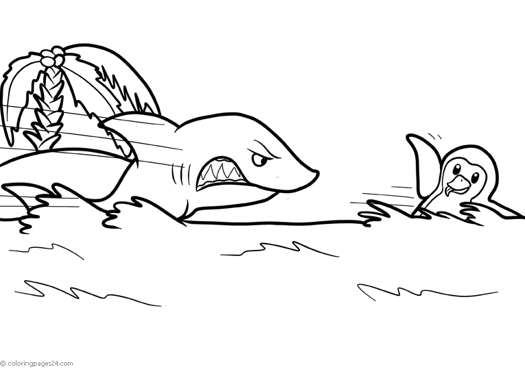 Tiburones y Mantarayas 11