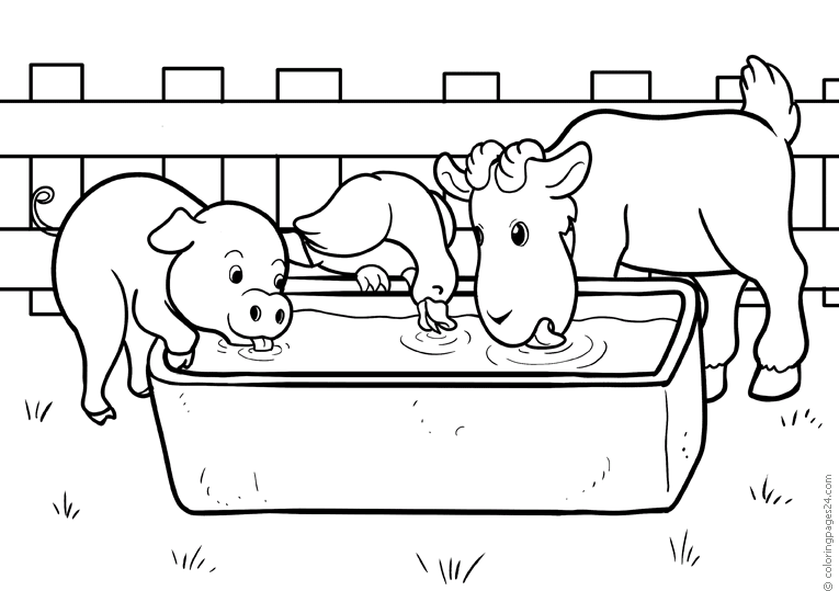 Granja 32