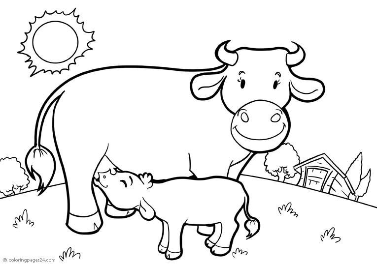 Vacas y Toros 12