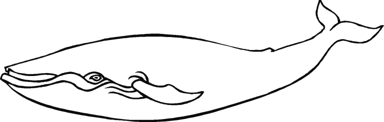 Ballenas 1