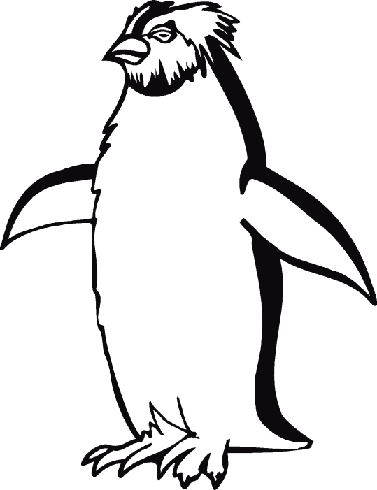 Pinguinos 1