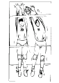 Voleibol - 11