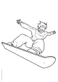 Snowboard - 8