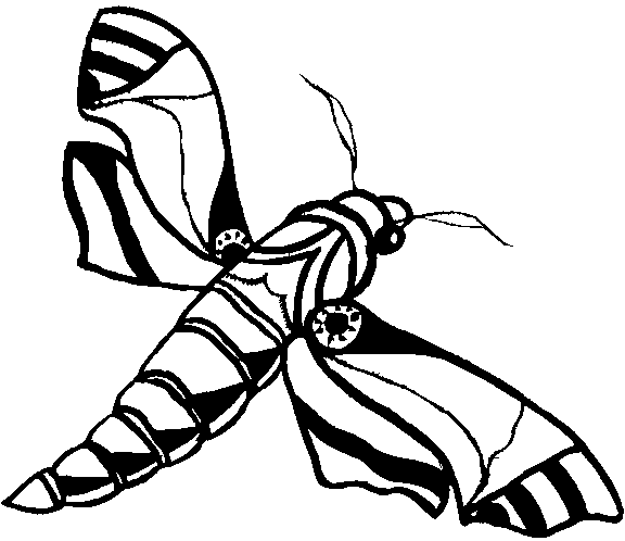 Mariposas 6
