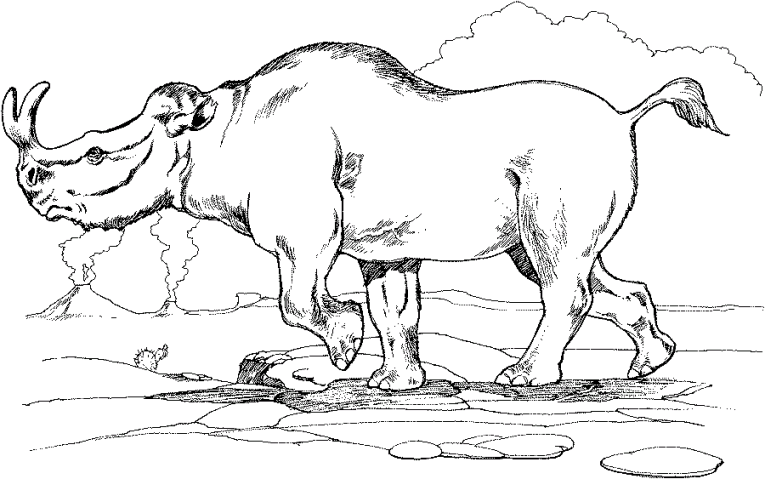 Otros Animales 40