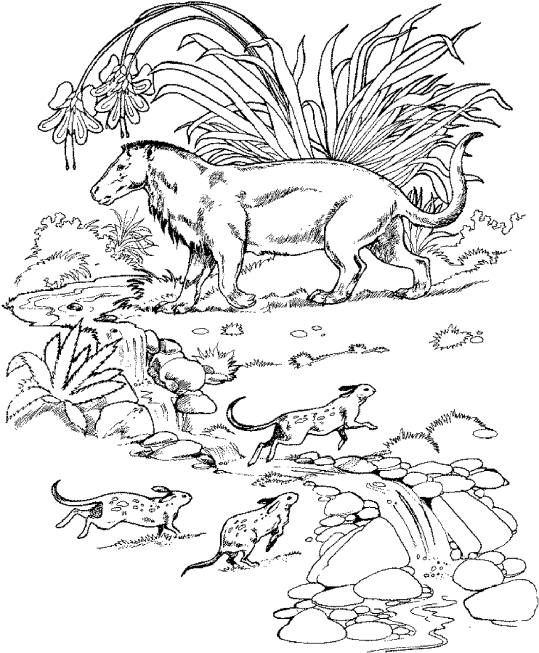 Otros Animales 42