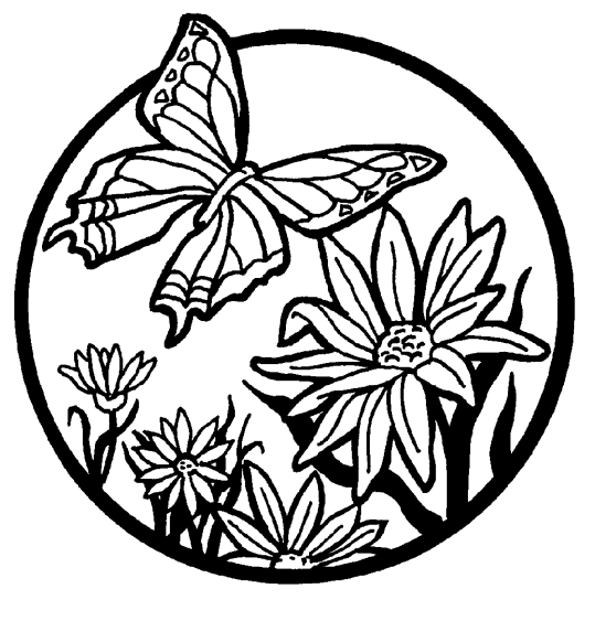 Mariposas 9