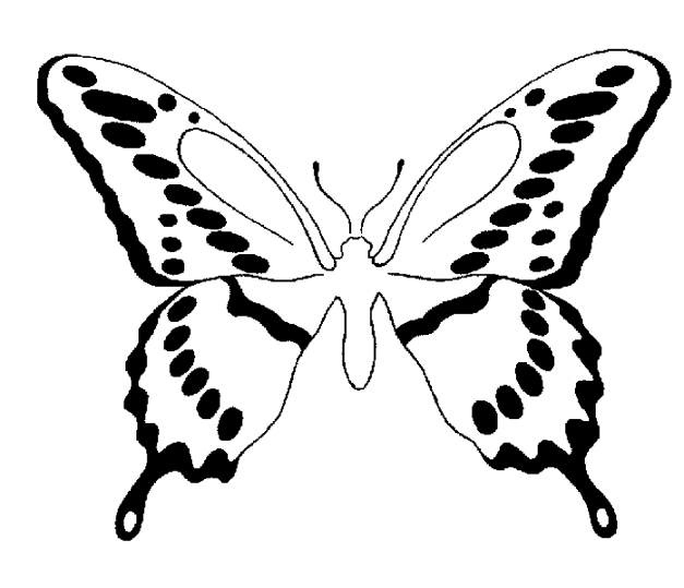 Mariposas 10